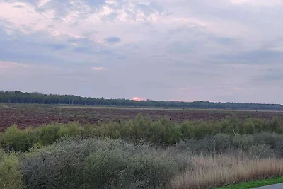 8 persone case ad Gjern-By Traum