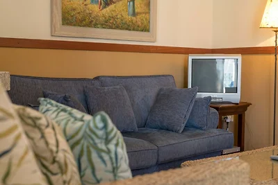 Geschakelde vakantiewoning op landgoed met zw...