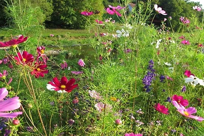 Vakantieappartement met 1 slaapkamer