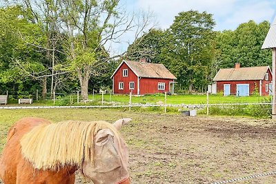 4 persoons vakantie huis in MARIESTAD