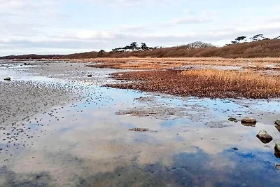6 Personen Ferienhaus in Jægerspris-By Traum
