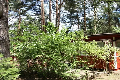 Haus am Kolberg Rifugio moderno