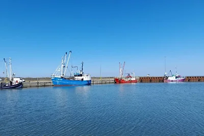 6 Personen Ferienhaus in Rømø-By Traum