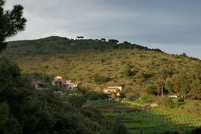 Casetta Furrer Terranera