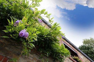 Charmantes Ferienhaus in Mettet mit Garten