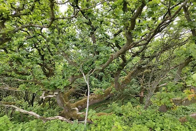 8 persoons vakantie huis in Spøttrup-By Traum