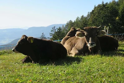 Azienda agricola biologica Oberstufels