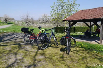 Frühburgunder en la casa de vacaciones...