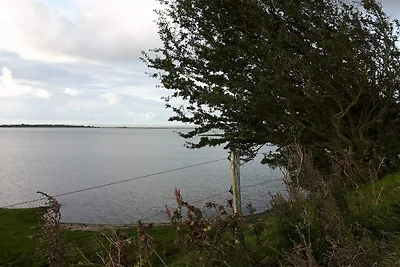 8 Personen Ferienhaus in Hurup Thy-By Traum