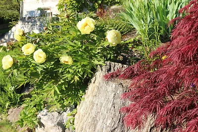 Blonay Logis de Vacances 2