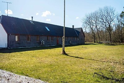 12 Personen Ferienhaus in Thisted