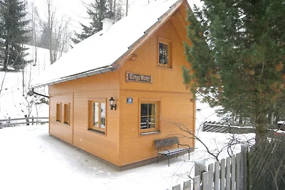 Ferienhaus in Skigebiet von Bad...