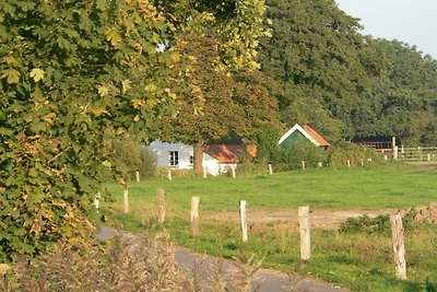 Ferienhaus mit 2 Schlafzimmer