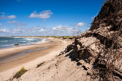 4 Personen Ferienhaus in Thisted-By Traum