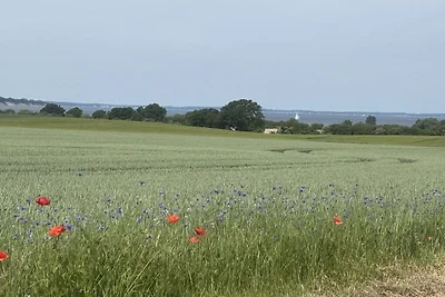 Kiekut Ostseeblick