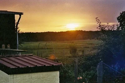 Bungalow mit 1 Schlafzimmer