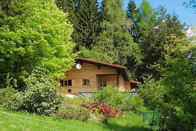 Casa vacanze Schneider, Rinchnach-prec. TUI