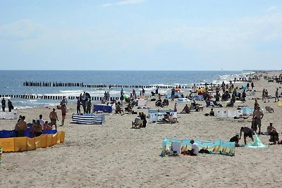 Nieuwe vakantiehuizen met sauna, jacuzzi, Trz...