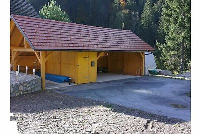 Graziosa casa di montagna con piscina...