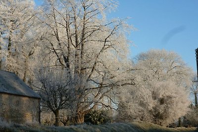 Gite "la clairière" Komfortable...