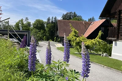 Ferienhaus Steirerzeit