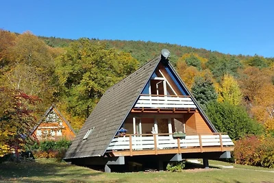 Vakantiehuis in Leinsweiler met barbecue