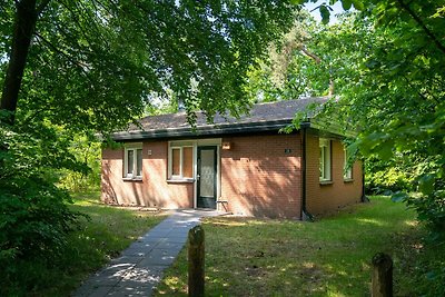 Bungalow con lavastoviglie, vicino al Veluwe