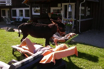 - Reit und Ferienanlage Tannenhof