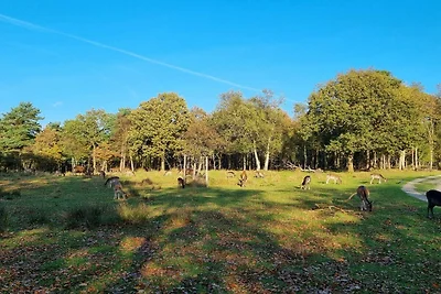 5 Sterne Ferienhaus in Bogense