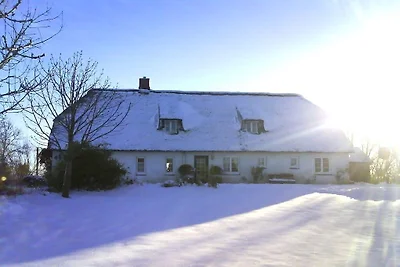 Ferienhaus mit 2 Schlafzimmer