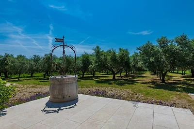 Villa Olive Ranch