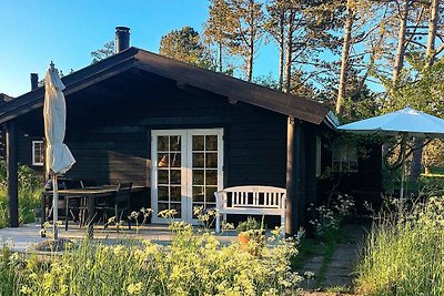 Entspanntes Ferienhaus in Ålbæk inmitten der...