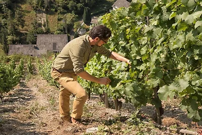 Loreley im Weingut Lithos