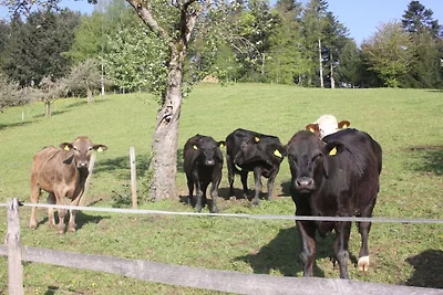 Boerderij in Steinach met zwembad
