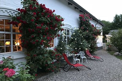 Ferienwohnung mit 2 Schlafzimmer