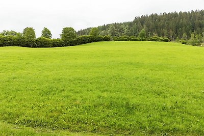 Wunderschöne Ferienwohnung mit Infrarotsauna