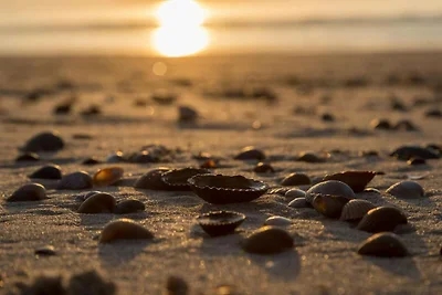 Gemütliche Strandrefugium mit malerischer...