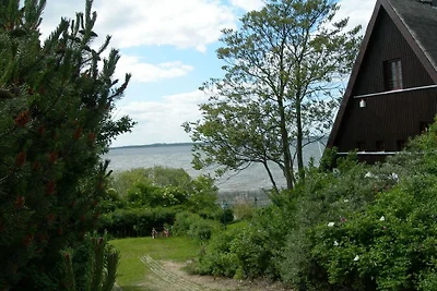 - Het Fox Den Appartement II
