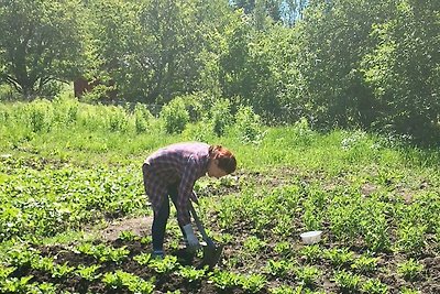 4 Personen Ferienhaus in VÄDDÖ