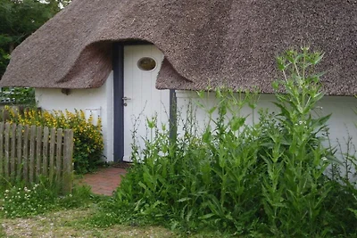 Ferienhaus mit 2 Schlafzimmer