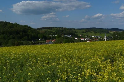 Holiday home in Lissendorf with double bed