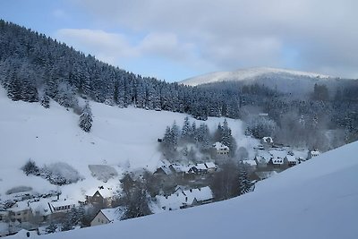 Betoverende vakantiewoning in de Harz