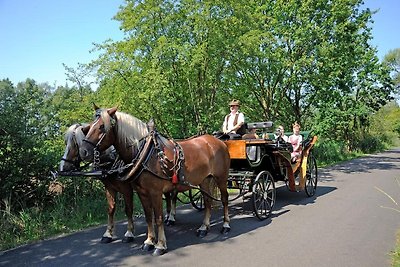 Ferienwohnungen Spreewaldperle, Alt Zauche