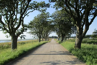 8 Personen Ferienhaus in Harboøre-By Traum