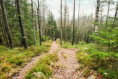 4 Personen Ferienhaus in BORÅS