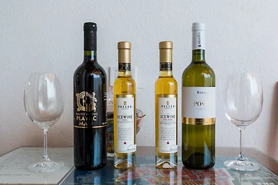 Apartments Ivana Old Town - Studio (2 Adults)