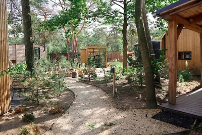 Modernes Ferienhaus in der Veluwe