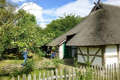Gezellig huisje met rieten dak