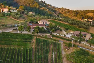 Villa in Lucca mit Weingut und Aussicht
