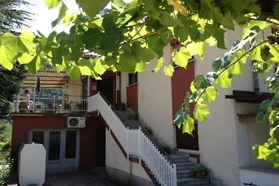 Lovely Apartments Near the Sea - Standard Stu...
